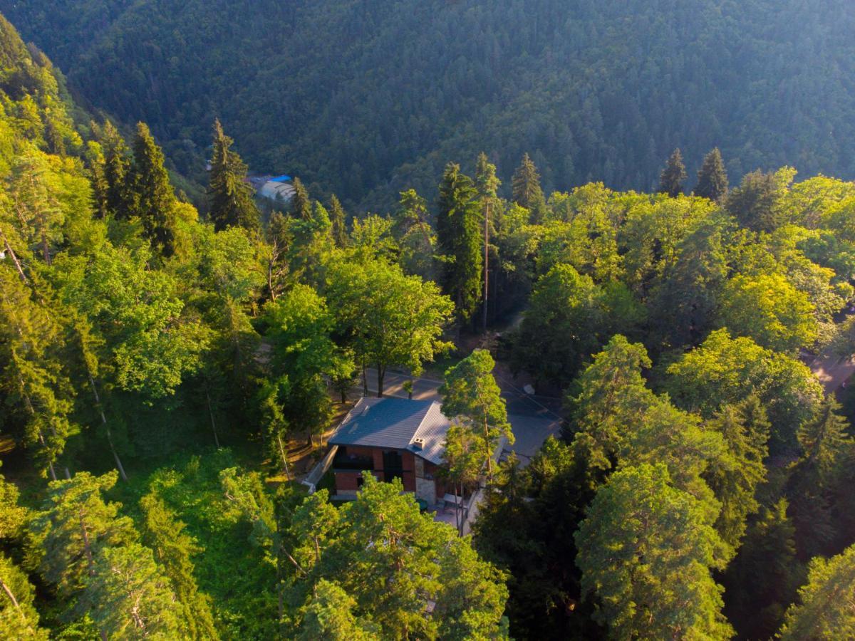 Hotel Evergreen 博尔若米 外观 照片